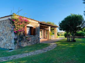 BouganVilla by the Beach - San Teodoro 1 San Teodoro